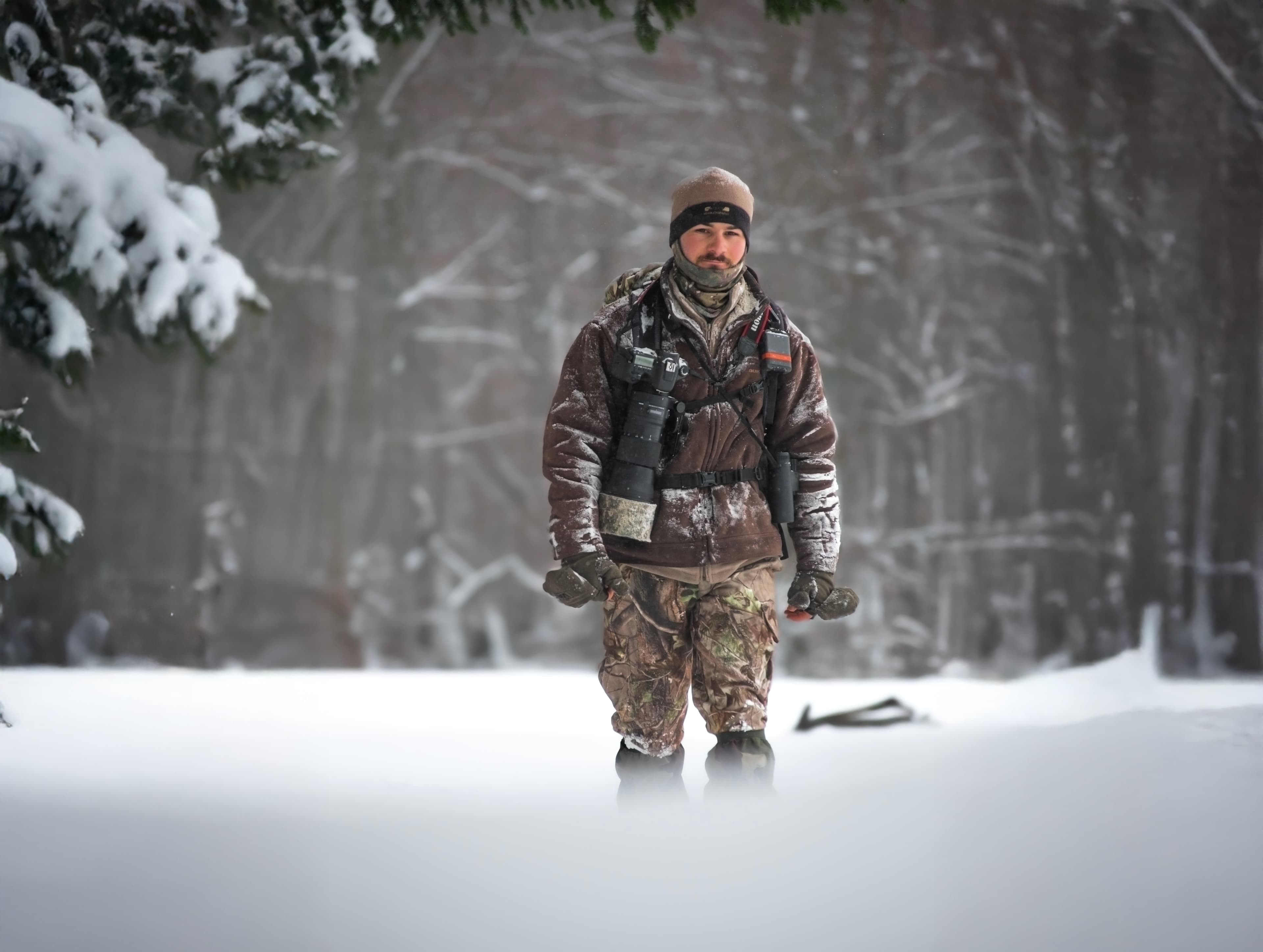 Recherche dans la nature